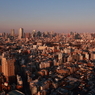 夕日を受けて