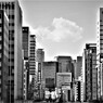 THE NAGOYA