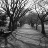 Industar69 28mm F2.8