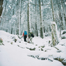 hikosan_20170212_006