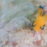 In exploration!!