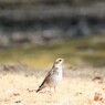 春の日差しを感じながら