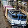 1091レ EF65-2095