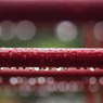 雨