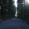 旅写真　富士浅間神社