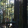 旅写真　富士浅間神社　Ⅱ