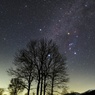 春待ち星空と冬木