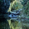 濃溝の滝　もうすぐハート