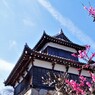 梅香る郡山城
