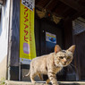 帰ろ～～っと