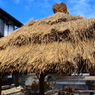 茨城14