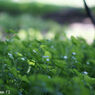 Jupiter8 50mm F2