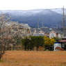 写真句：春の雪（Nostalgic Town Walk50）