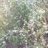 DSC00899