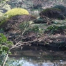 DSC00967