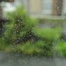 梅雨