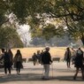 人出の公園・・・