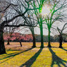 ある日の公園