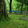 長谷寺　三重塔跡
