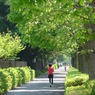 20100502昭和紀念公園