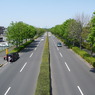 20100502昭和紀念公園