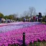 20100502昭和紀念公園