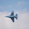 2014 三沢基地航空祭 F-2