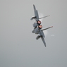 2016 三沢基地航空祭 F-15
