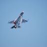 2016 三沢基地航空祭 F-2
