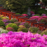 根津神社