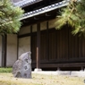 皇居の春 - no.6