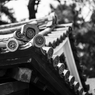 皇居の春 - no.8