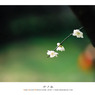 Film Vol.01