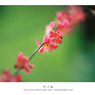 Film Vol.01