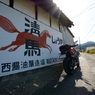 清馬しょうゆの看板