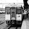 DM519