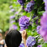【鎌倉】明月院前にて四