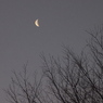 Half moon