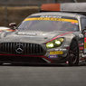 GAINER TANAX AMG GT3