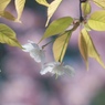 春の時間