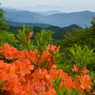 五味池破風高原自然園