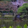 鶴の噴水 (2)