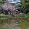 鶴の噴水