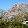 仏生山公園