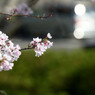 仏生山公園