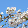 仏生山公園