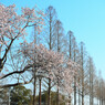 仏生山公園