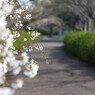 仏生山公園