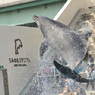 仙台うみの杜水族館12