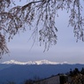 風景☆春を、じっと待ったよ。